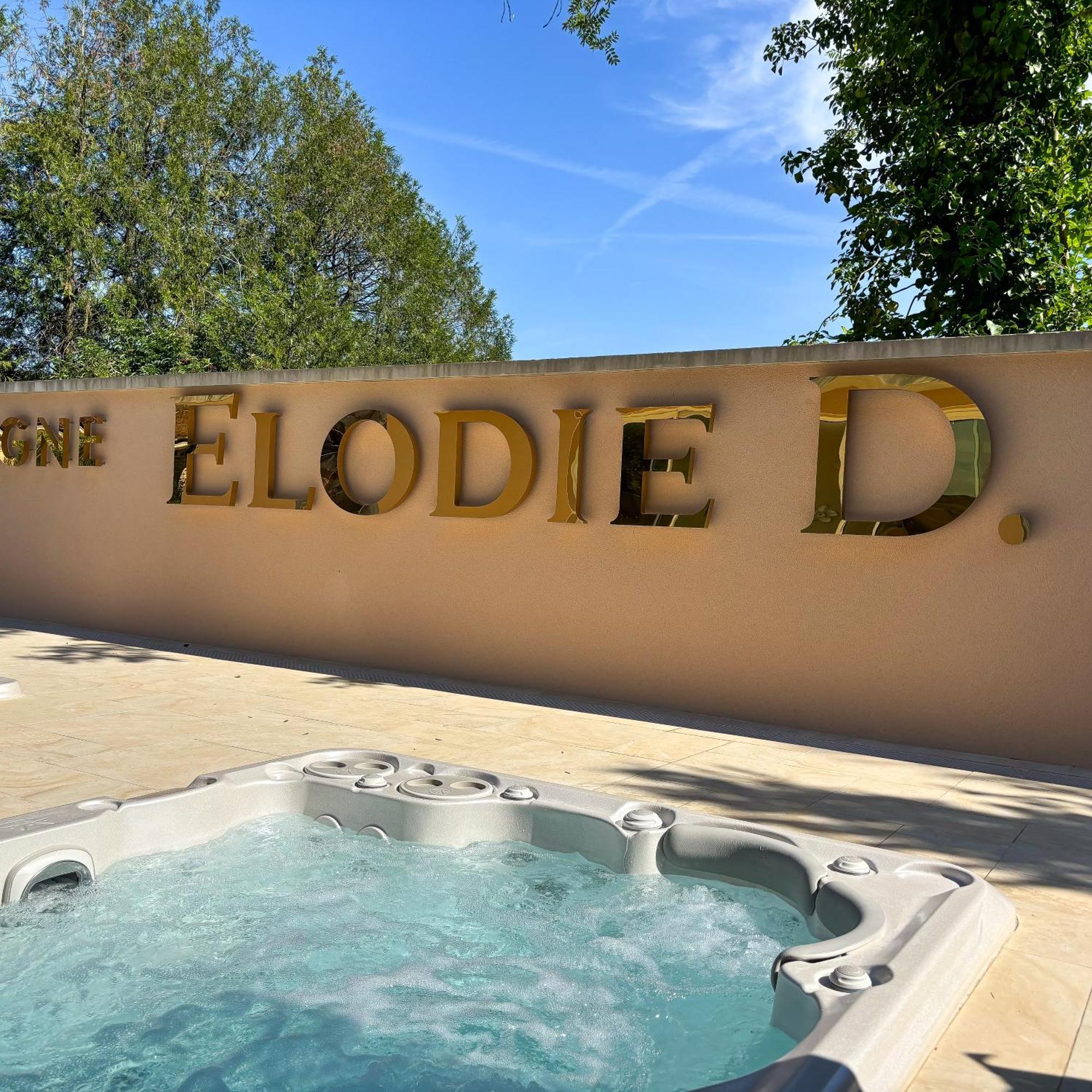 La Demeure D'Elodie エペルネー エクステリア 写真